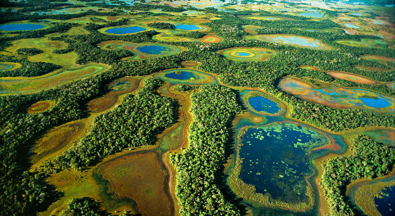 Brazil's Best Kept Secret: The Pantanal